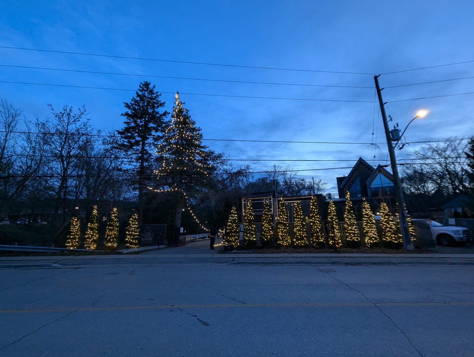 Business frontage lined with warm-white lit cone trees and a tall illuminated evergreen at dusk