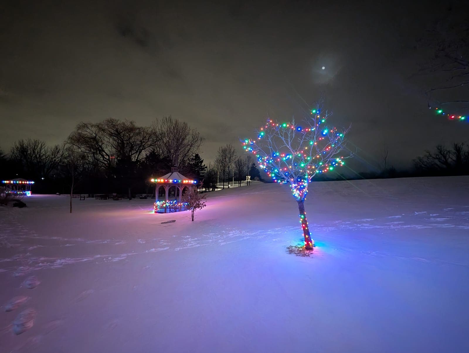 Small tree wrapped in colourful lights on a snowy park lawn with a lit gazebo in the background