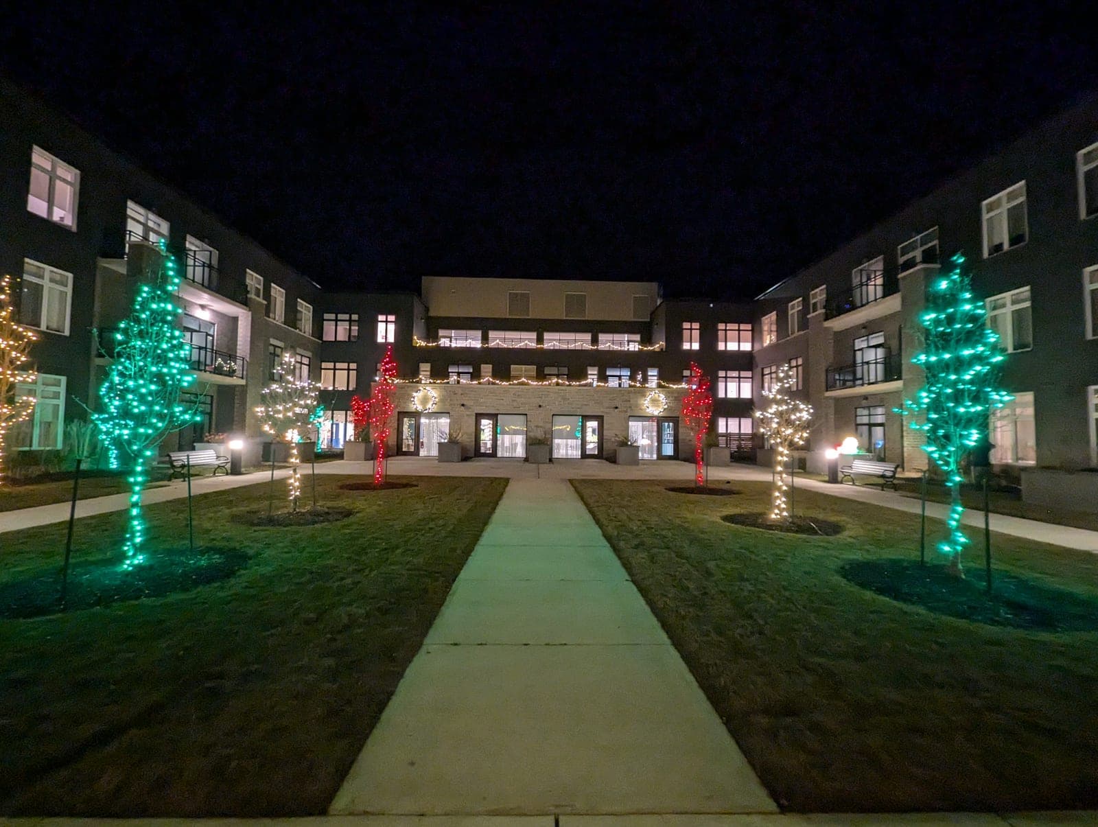 Courtyard of trees wrapped in green and red Christmas lights flanking a lit walkway to a residence