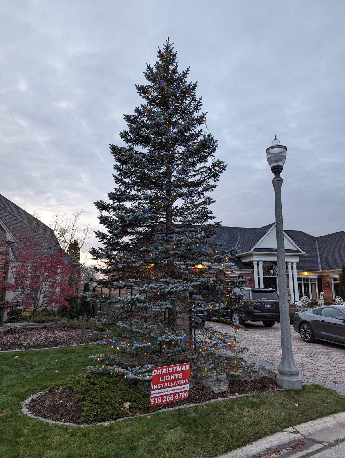 Two-storey home with a large spruce tree decorated in multicolour Christmas lights