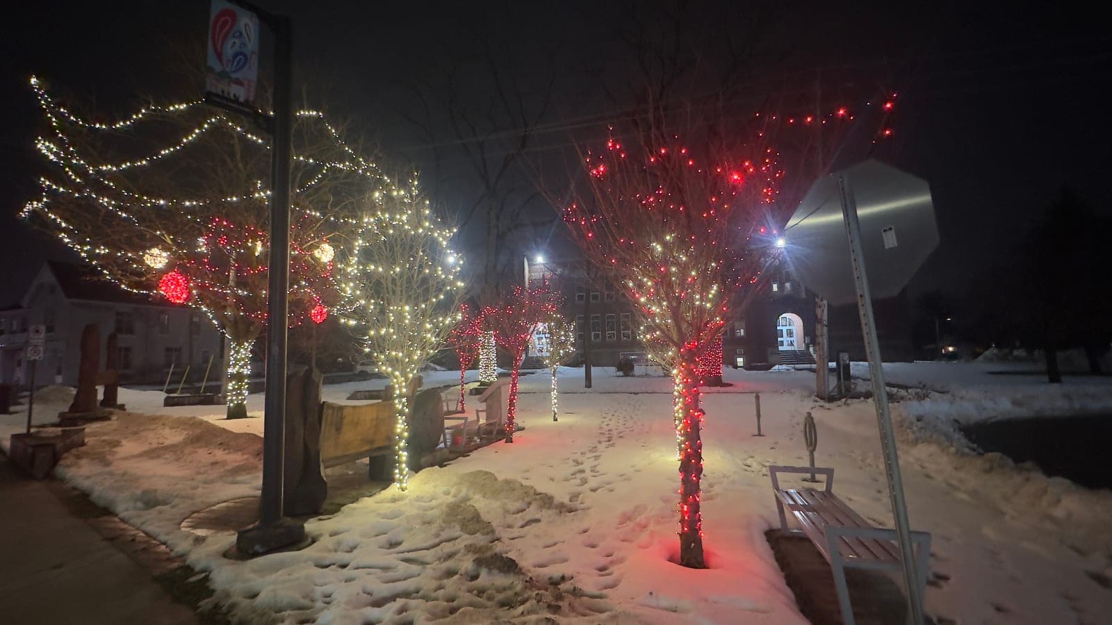 Town square path lined with trees wrapped in warm-white and red Christmas lights beside snow-covered benches at night